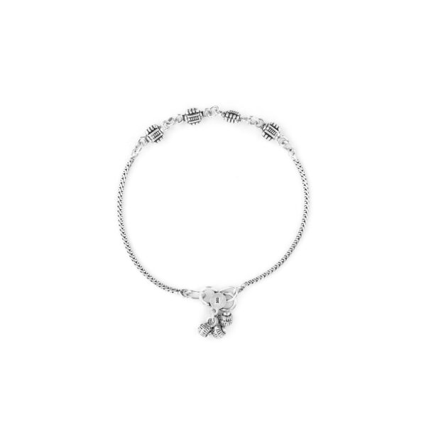 Anklet6